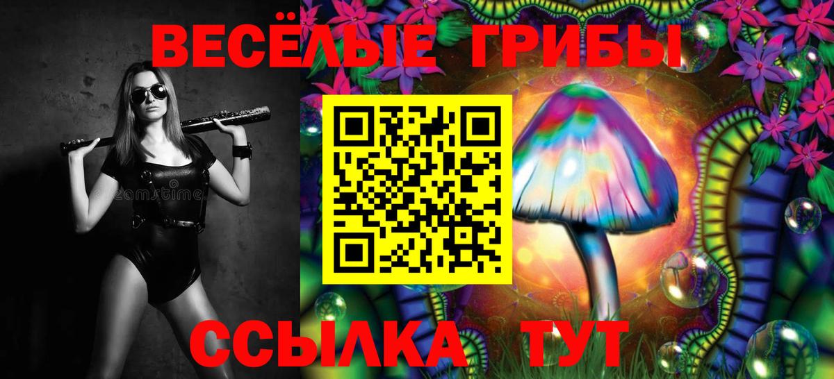 Псилоцибиновые грибы MAGIC MUSHROOMS  Псилоцибиновые грибы MAGIC MUSHROOMS  Вход с VPN  Озёрск 